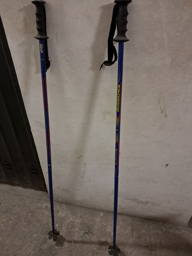 Sci Dynastar Pintail 74 + attacchi Look