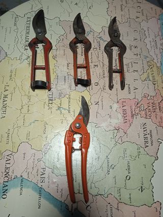 Tijeras de Vendimia y Poda