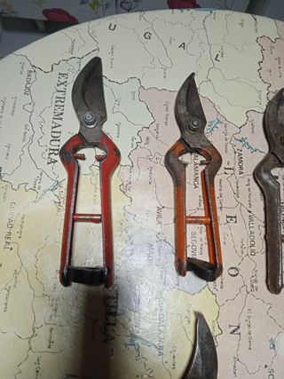 Tijeras de Vendimia y Poda