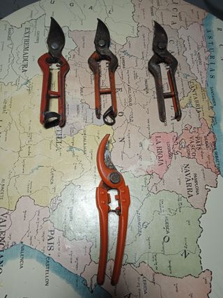 Tijeras de Vendimia y Poda