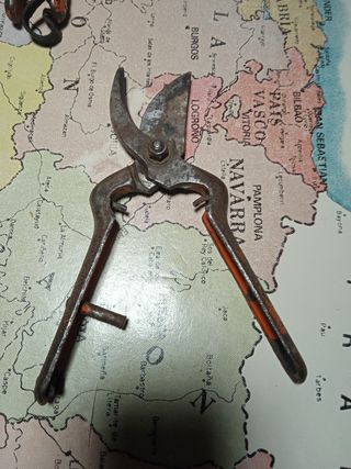 Tijeras de Vendimia y Poda