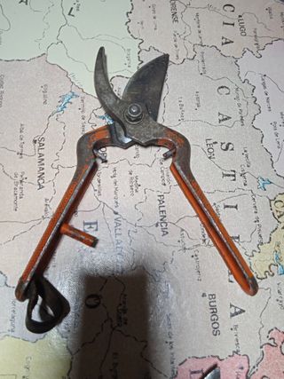 Tijeras de Vendimia y Poda