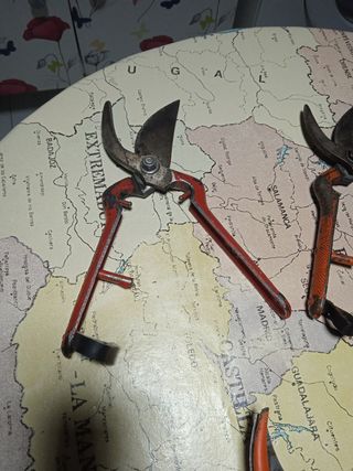 Tijeras de Vendimia y Poda