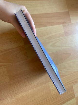 Libro: Al otro lado del vidio (Antonia Bañados)