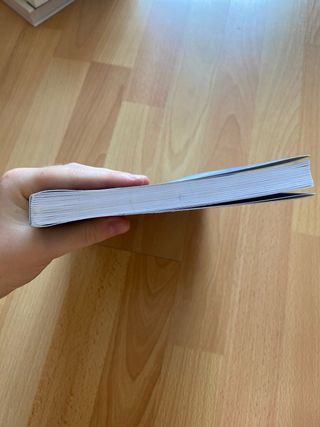 Libro: Al otro lado del vidio (Antonia Bañados)