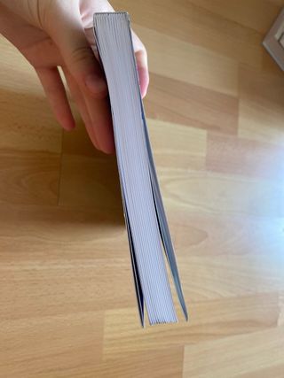 Libro: Al otro lado del vidio (Antonia Bañados)