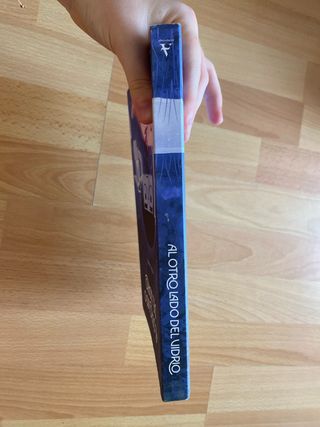 Libro: Al otro lado del vidio (Antonia Bañados)