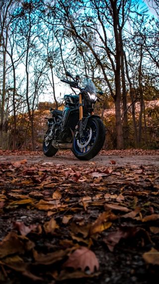 Yamaha MT-09 SP 2021