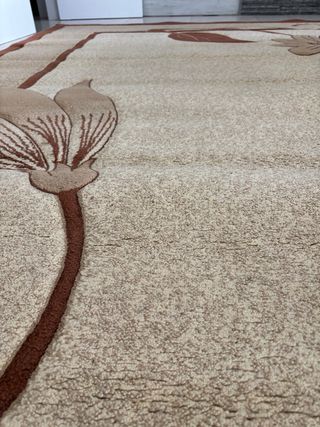 Alfombra beige y marrón 3x2m