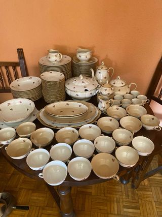Vajilla porcelana 100 piezas