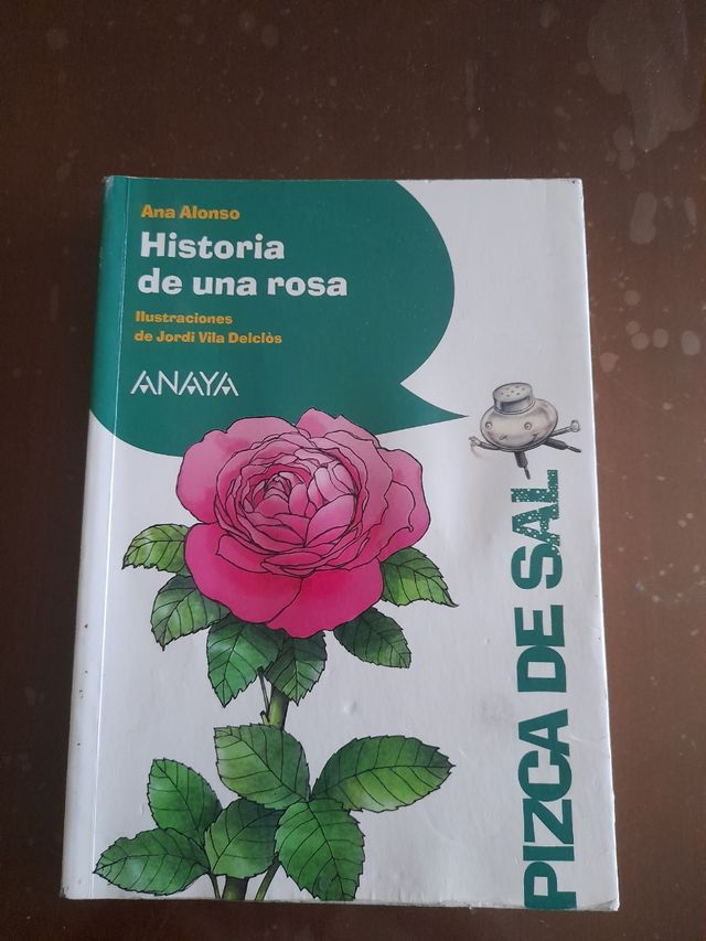 Historia de una rosa