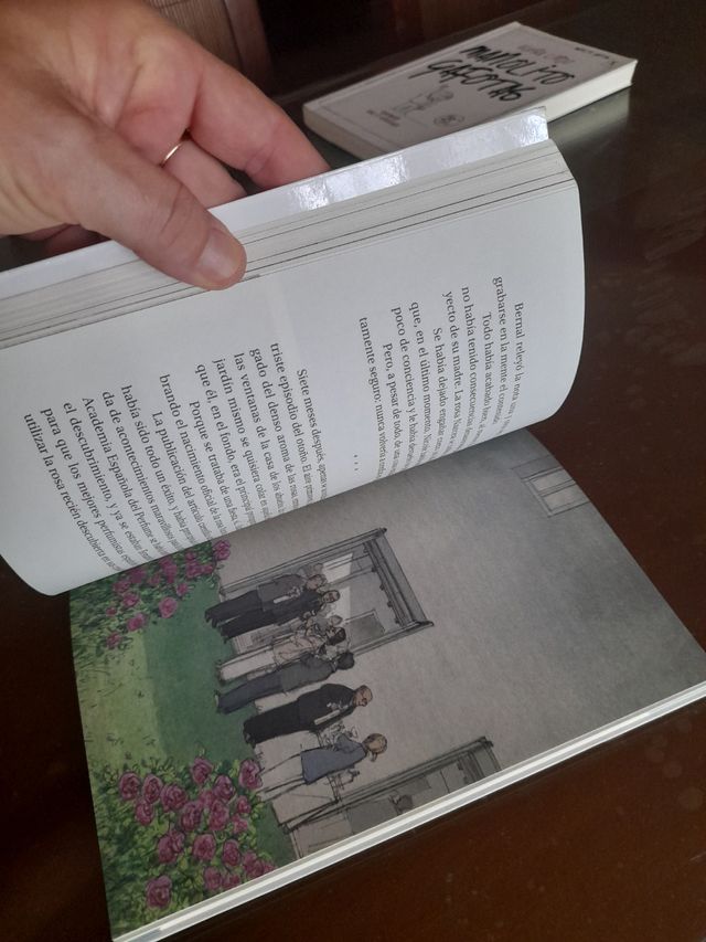 Historia de una rosa