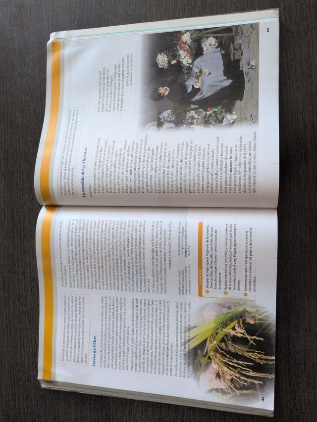 LLENGUA CATALANA I LITERATURA SERIE OBERTA 4 SEC