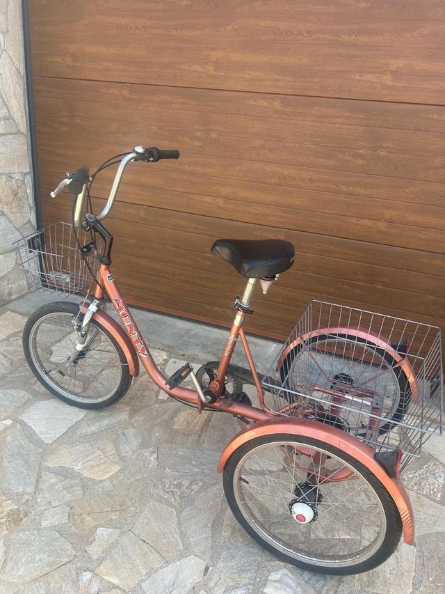 Triciclo adulto