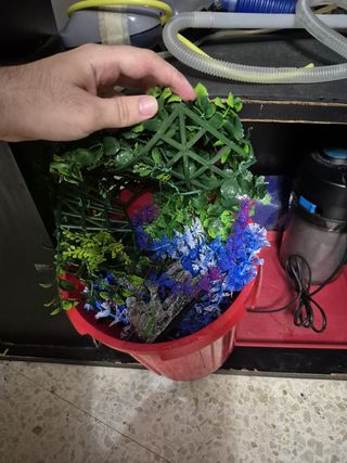 Acuario 250L + accesorios