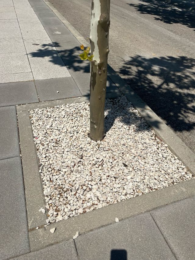 piedra de rellano para piscina
