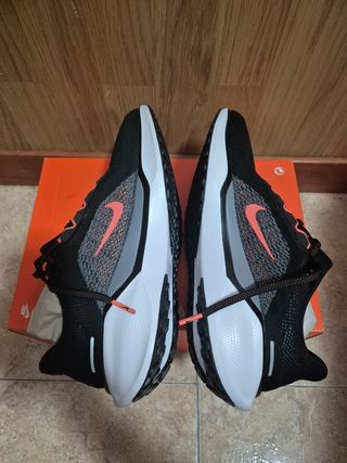 Zapatillas Nike Pegasus 41 N°43