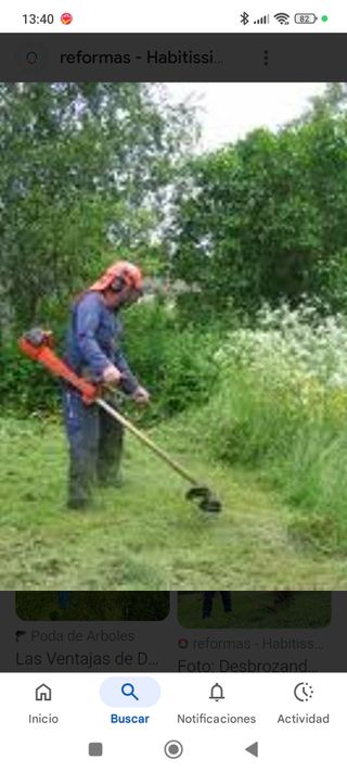 Desbroce de terrenos y parcelas