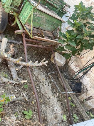 Remolque o carro antiguo para mula o caballo