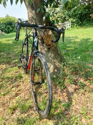 Bicicleta Specialized Tarmac Comp