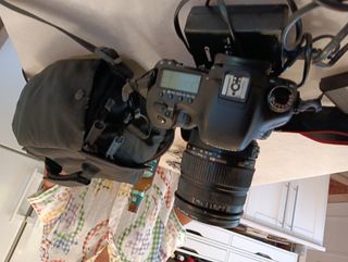 Canon7D - cuerpo 150€ + 50 objetivo.