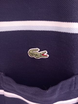 Polo Lacoste azul rayas