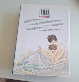Junjo Romantica 4 (Spanish Edition)