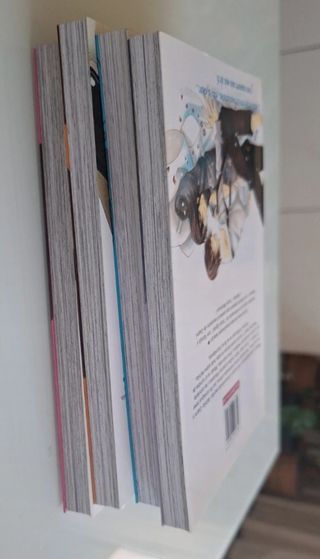 Junjo Romantica 4 (Spanish Edition)