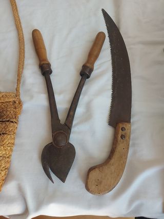 Juego herramientas antiguas jardinería