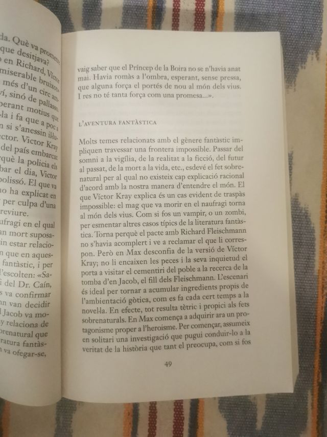 El Príncep de la Boira