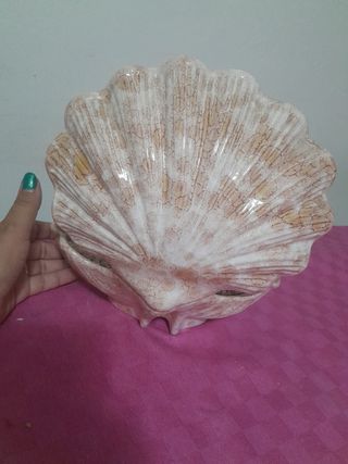 Conchiglia Ceramica Decorativa