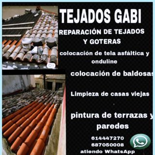 Reparación tejados y GOTERAS en general 
