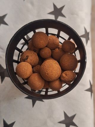 Bandeja esquejes hidroponicos