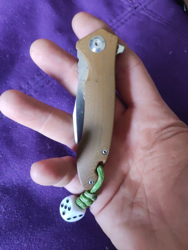 Ganzo Firebird coltellino