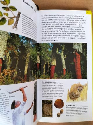 Guia Parc Natural del Montseny