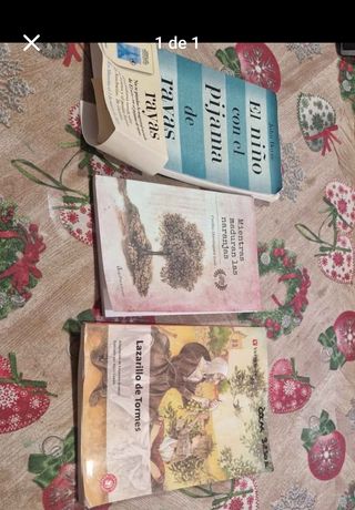 Libros de lectura 7€cada uno recoger en san miguel