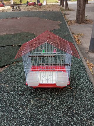 Jaula pájaros roja y blanca