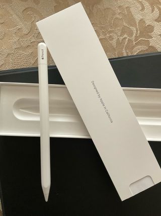 Apple Pencil usb c nuevo