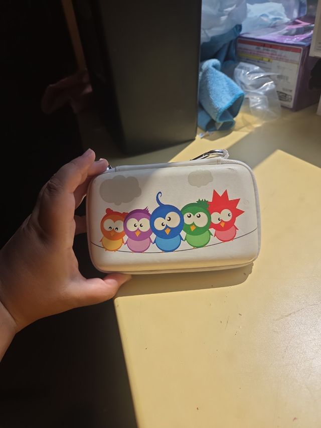 Custodia protettiva per Nintendo DS