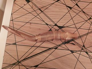 Coccodrillo legno intagliato a mano
