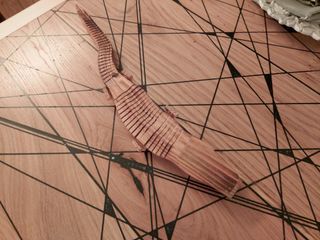 Coccodrillo legno intagliato a mano