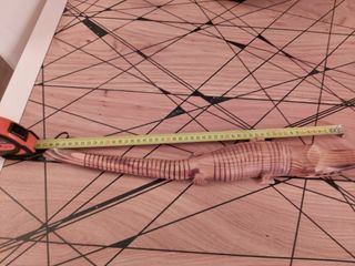 Coccodrillo legno intagliato a mano