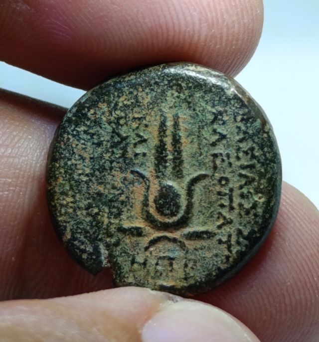 Moneda Bronce helenistico periodo Seleúcida