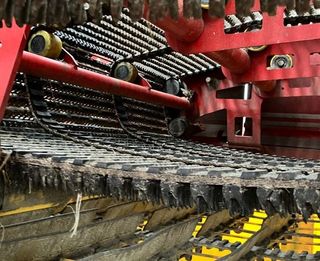 Grimme SE 260 UB - Recolectora
