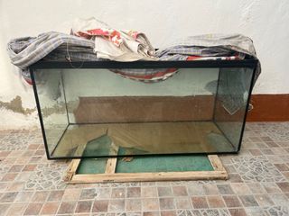 Acuario 250L -pecera usada