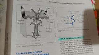Cosmetologia aplicada ,Estetica Integral