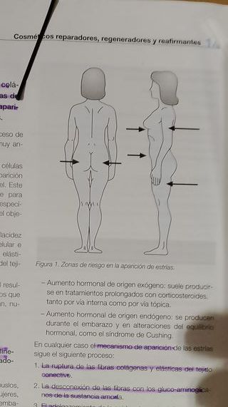 Cosmetologia aplicada ,Estetica Integral