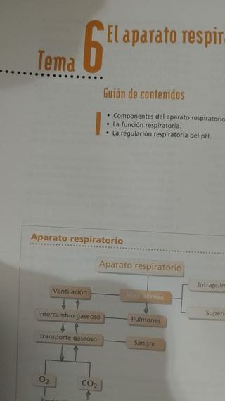 Anatomia Fisiologia y Patologia Humanas