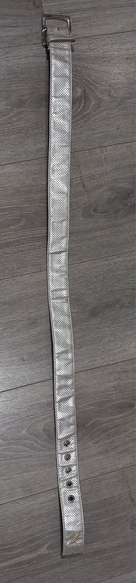 Cinturón Puma plateado