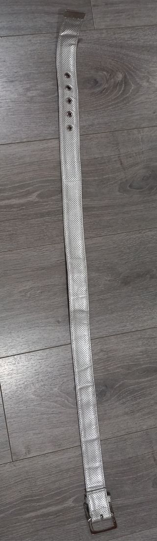 Cinturón Puma plateado